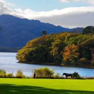 Killarney & Dublin 7 dagen - combinatie van stad en natuur -Categorie/Ierland Dublin combinatiereizen