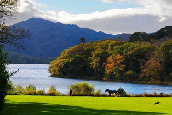 Killarney & Dublin 7 dagen - combinatie van stad en natuur -Categorie/Ierland Dublin combinatiereizen