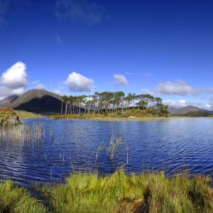 Westkust & Dublin 7 dagen - combinatie van stad en natuur -Categorie/Ierland Dublin combinatiereizen