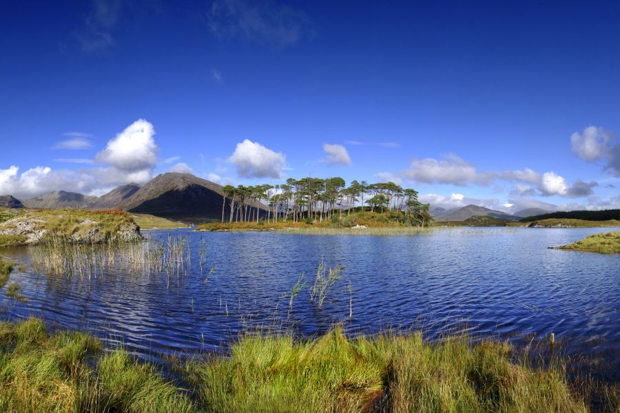 Westkust & Dublin 7 dagen - combinatie van stad en natuur -Categorie/Ierland Dublin combinatiereizen