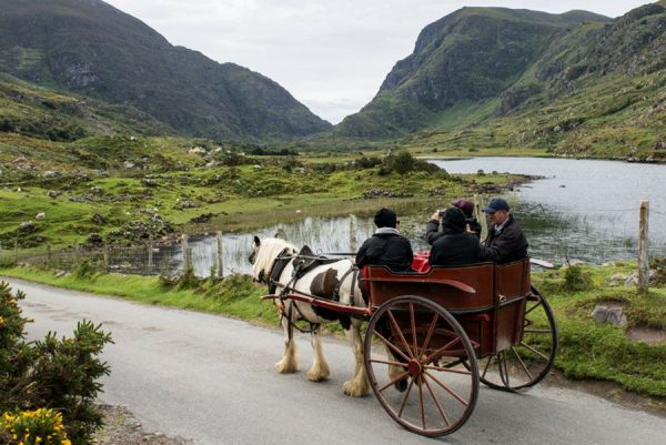 Killarney jaunting car tours -Categorie/Excursies & activiteiten