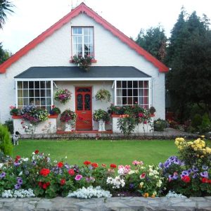 Mystical Rose B&B - Killarney -Categorie/Accommodatie Zuid Ierland