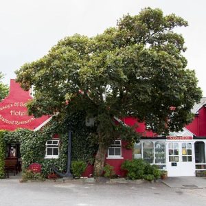 Caseys Of Baltimore Hotel - Baltimore -Categorie/Accommodatie Zuid Ierland