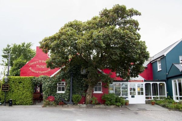 Caseys Of Baltimore Hotel - Baltimore -Categorie/Accommodatie Zuid Ierland