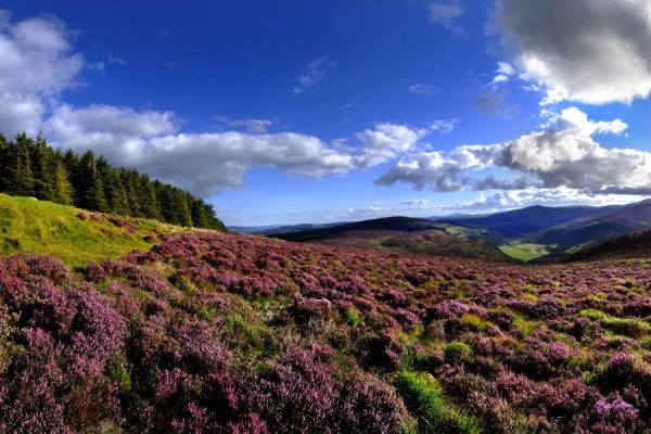 9-Daagse autorondreis Hoogtepunten van Zuidoost Ierland - Hotels -Categorie/Ierland Rondreizen Hotels