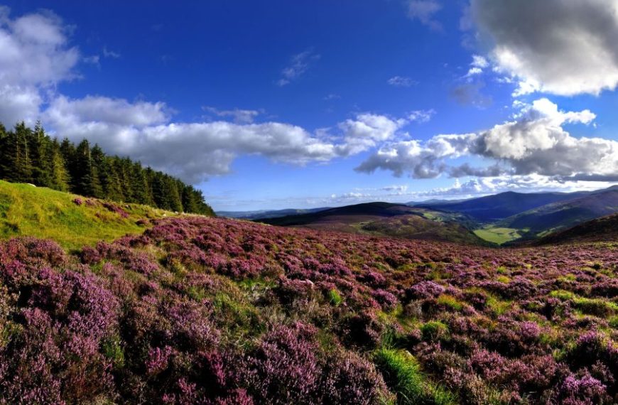 9-Daagse autorondreis Hoogtepunten van Zuidoost Ierland - Hotels -Categorie/Ierland Rondreizen Hotels