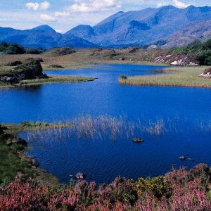 10-Daagse autorondreis Hoogtepunten van Zuidwest Ierland - Hotels -Categorie/Ierland Rondreizen Hotels