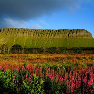 13-Daagse autorondreis Ontdek Ierland - Hotels -Categorie/Ierland Rondreizen Hotels