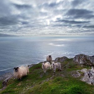 5-Daagse reis luxe kamperen Sheep`s Head Peninsula -Categorie/Weekend trips