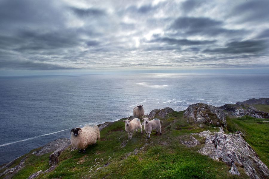5-Daagse reis luxe kamperen Sheep`s Head Peninsula -Categorie/Weekend trips